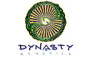 Dynasty Genetics Seeds